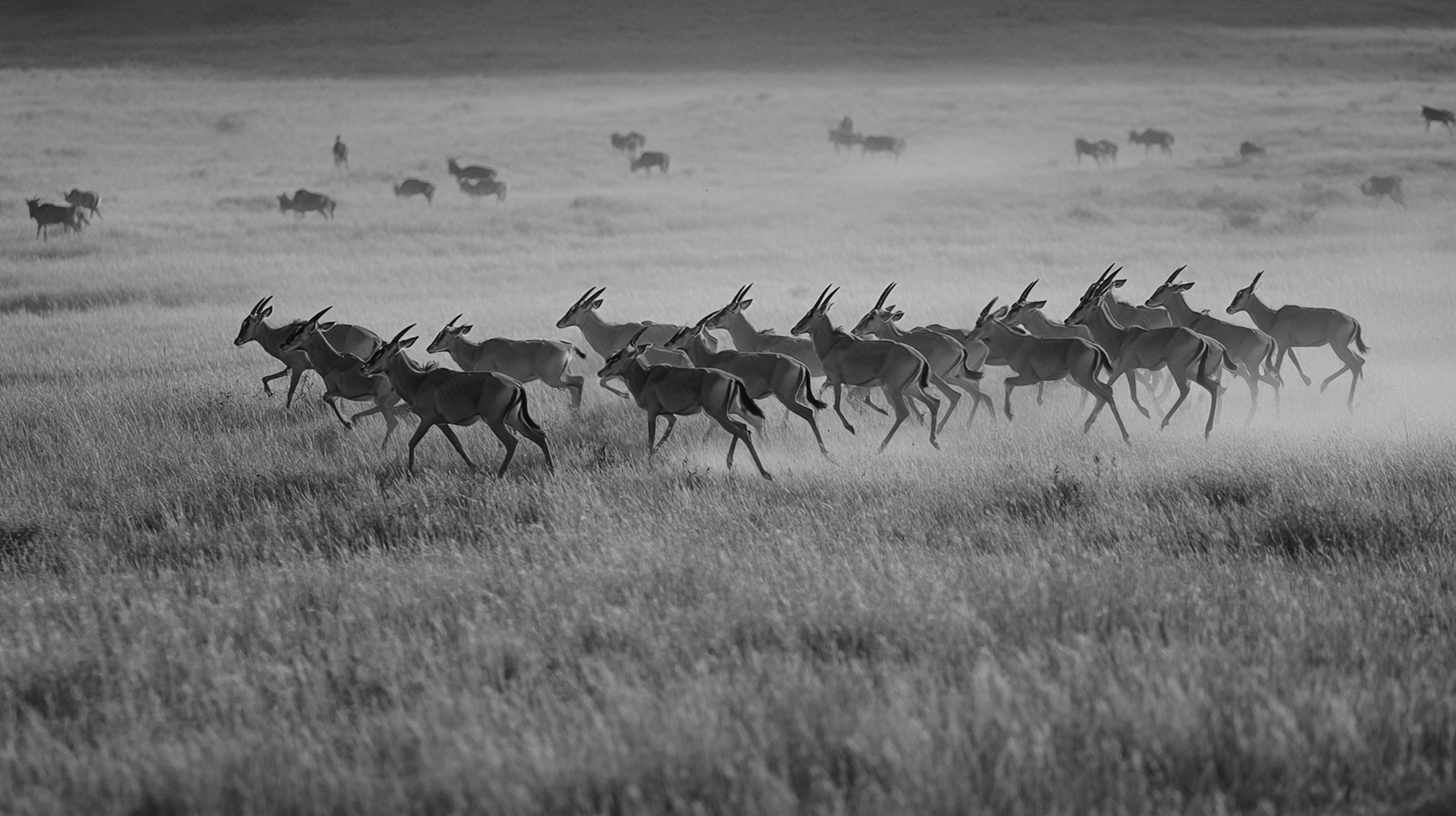 Great Migration 2025